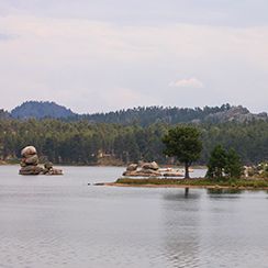 Tranquil lake with a single tree and scattered rock formations at Red Feather Lakes, Colorado, under an overcast sky